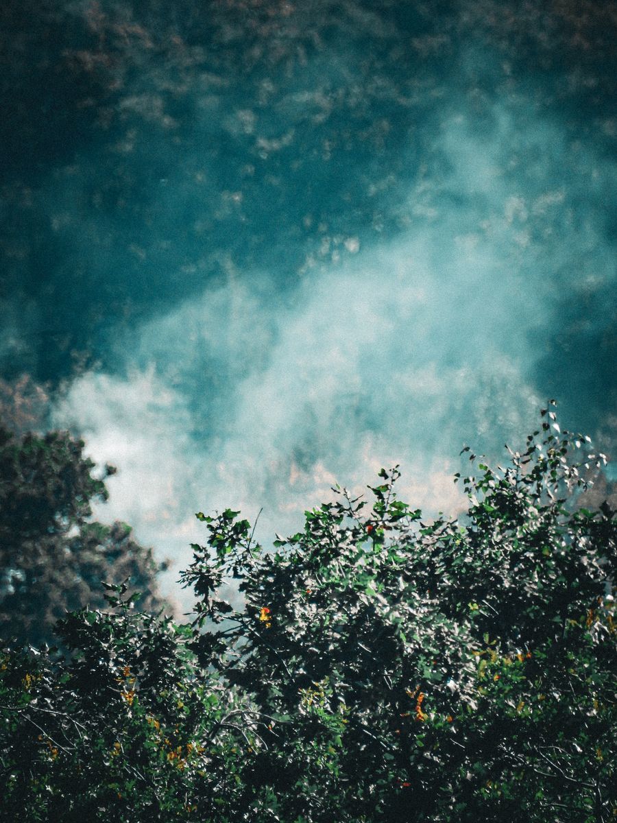vape device